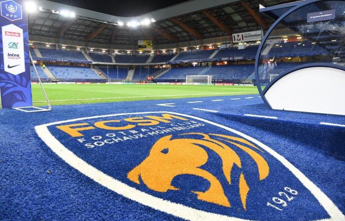 Freundschaftsspiele – Ein Team der Ligue 1, ein Verein der Ligue 2 … Das Vorbereitungsprogramm des FC Sochaux wurde enthüllt