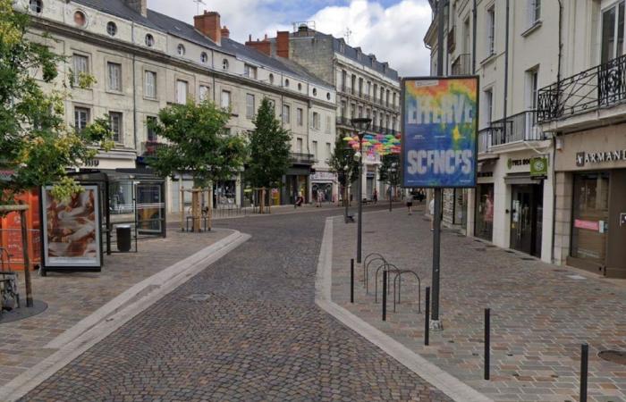 Saumur. In Innenstädten wird es künftig weniger Werbung geben