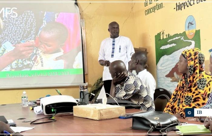 SENEGAL-GESUNDHEIT / Malaria: Die erste Kampagne zur Massenverabreichung von Medikamenten ist in Bakel geplant – Senegalesische Presseagentur
