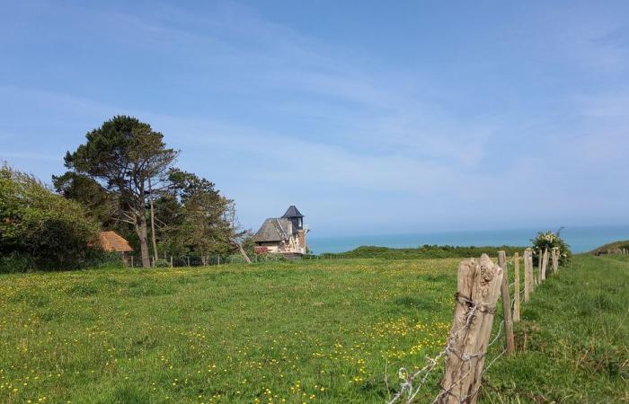 Was kann man dieses Wochenende in der Normandie unternehmen? 5 Ideen für Ausflüge in die Region