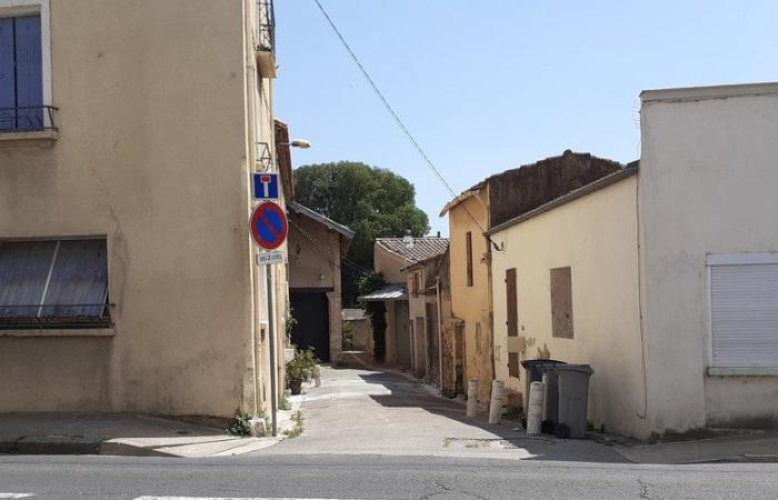 Saint-André-de-Sangonis: Flöhe machen den Bewohnern der Impasse Ravanières das Leben schwer