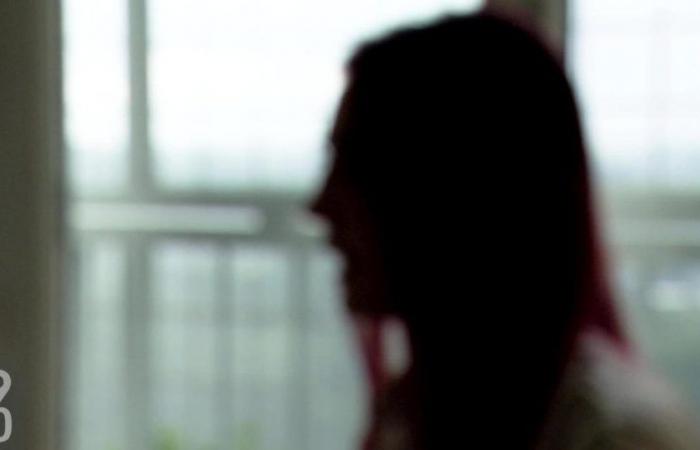 Genf präsentiert Plan zur Bekämpfung häuslicher Gewalt auf höchstem Niveau seit 10 Jahren – rts.ch