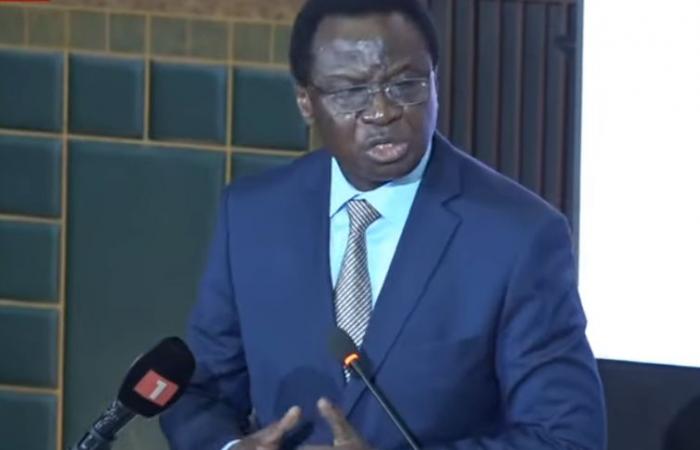 Serigne Gueye Diop kündigt einen Industrialisierungsplan an…