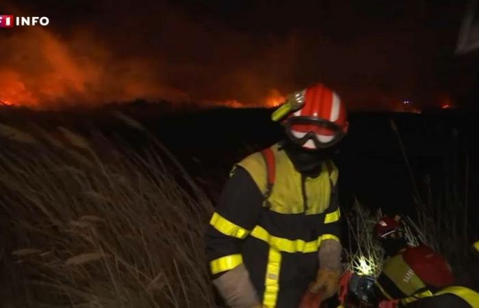 Drohnen, Hubschrauber: Feuerwehrleute der Pyrénées-Orientales in Alarmbereitschaft gegen Brände