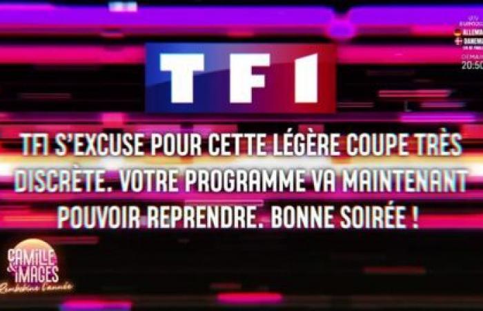 „Schade, TF1, nicht TF1, das sage ich dir“: Camille Combal spricht über den Zusammenstoß zwischen Inès Reg und Natasha St-Pier in Dancing with the Stars