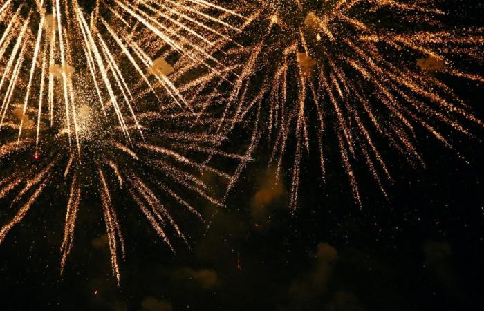 Nationalfeiertag 2024: Feuerwerk, Unterhaltung und Volksball in Perreux-sur-Marne (94)
