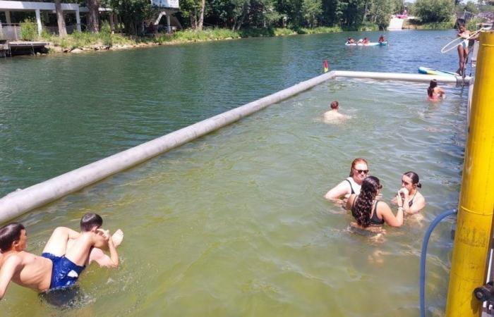 Das Tison-Inselschwimmbad wird dieses Wochenende und für den ganzen Sommer in Poitiers wiedereröffnet.