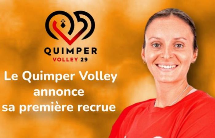 Ein Weltenbummler kommt bei Quimper Volley an – Quimper – Volleyball