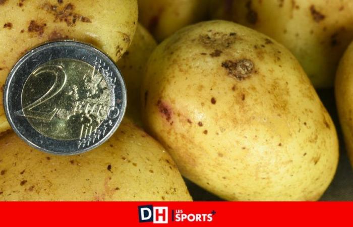 Rekordgewinne für Kartoffelproduzenten: „Bauern sitzen in der Falle“