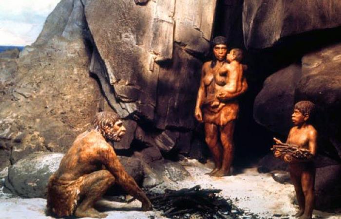 Entdeckung eines Neandertaler-Kindes mit Down-Syndrom
