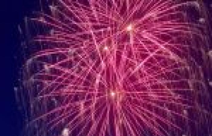 Nationalfeiertag 14. Juli: Beliebter Ball und Feuerwerk am 13. Juli in Brétigny-sur-Orge (91)