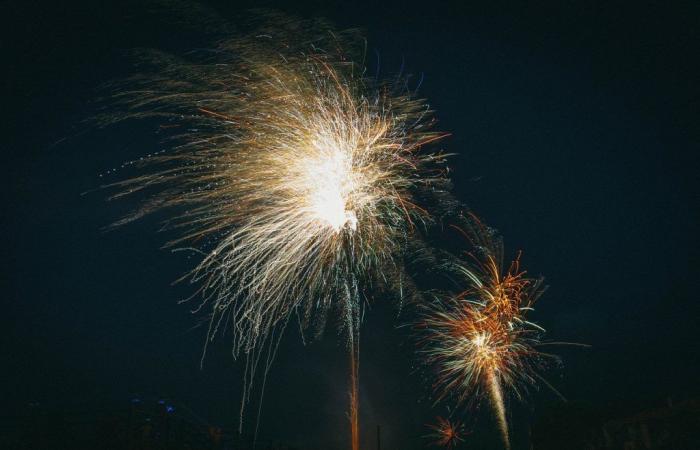 Nationalfeiertag 14. Juli 2024: Unterhaltung und Feuerwerk in Châtenay-Malabry (92)