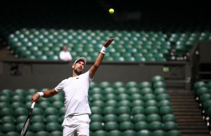 Djokovic spielt in Wimbledon, Wawrinka hat Glück