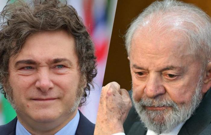 Javier Milei wird sich bei Lula nicht entschuldigen und tut es noch einmal