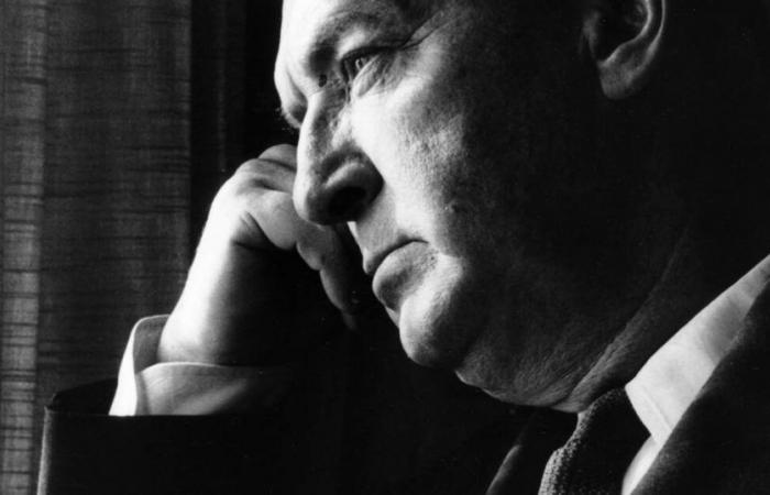 Vladimir Nabokov, die Liebe, die dich „splaf“ macht – Befreiung
