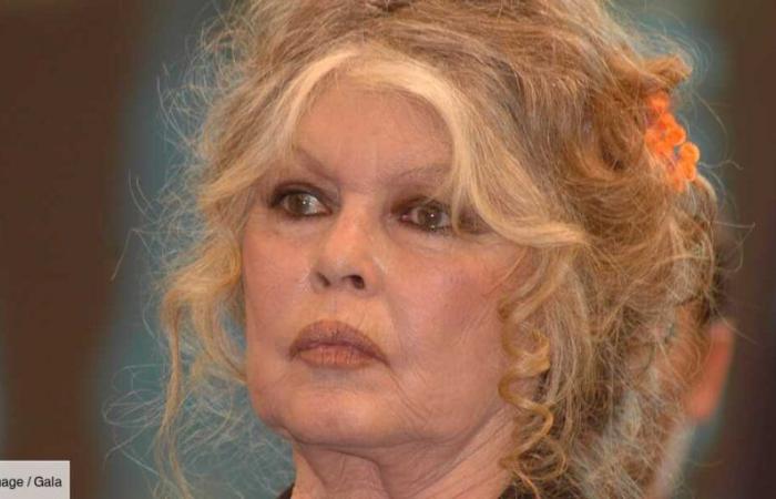 Brigitte Bardot ohne Filter über ihre Einsamkeit: „Ich habe dunkle und harte Jahre verbracht“