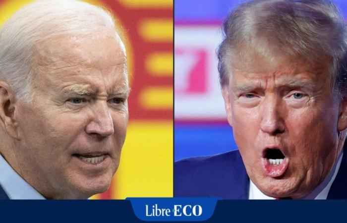 Donald Trump oder Joe Biden? „Für die Märkte gibt es keinen guten oder schlechten Kandidaten“
