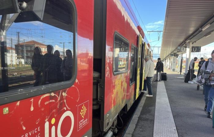 Toulouse: Das SERM-Projekt (einschließlich des Toulouse RER) wurde offiziell zertifiziert