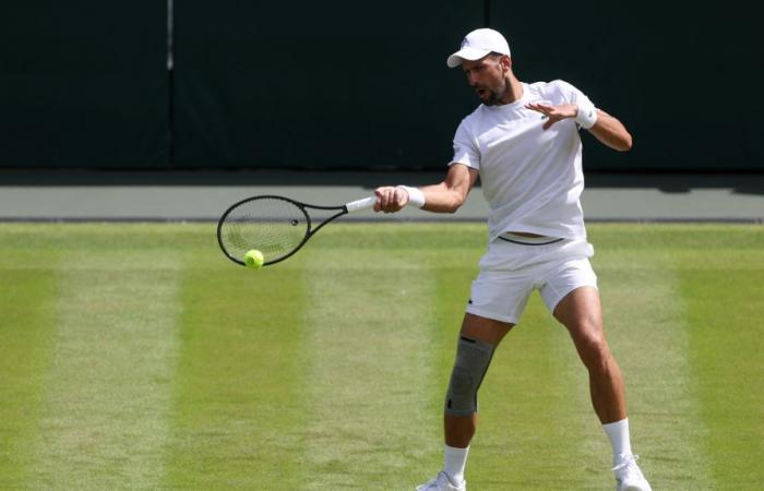 Wird Novak Djokovic auf dem Londoner Rasen anwesend sein?