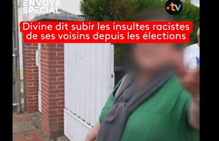 Rassistische Äußerungen im „Sondergesandten“: der Beamte des Montargis-Gerichts, der sie suspendiert hatte