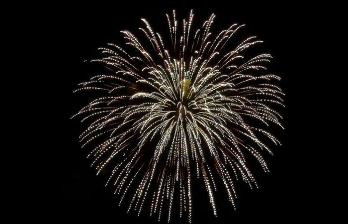 Nationalfeiertag 14. Juli 2024 in Clichy-sous-Bois (93), Picknick & Feuerwerk in Clichy Plage