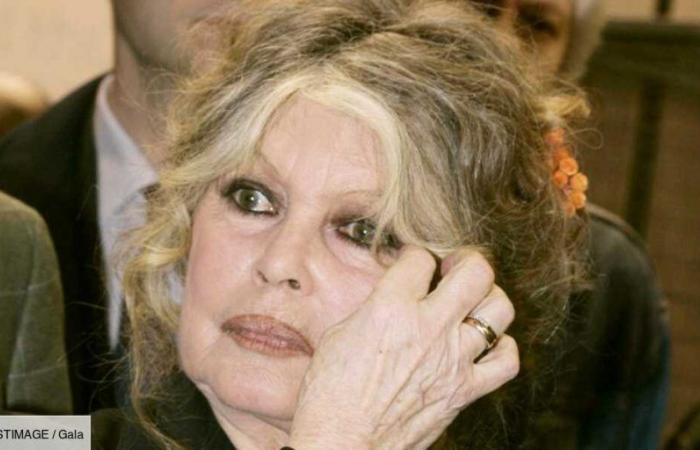 Brigitte Bardot weg von ihren Urenkeln: „Ich sehe sie selten…“