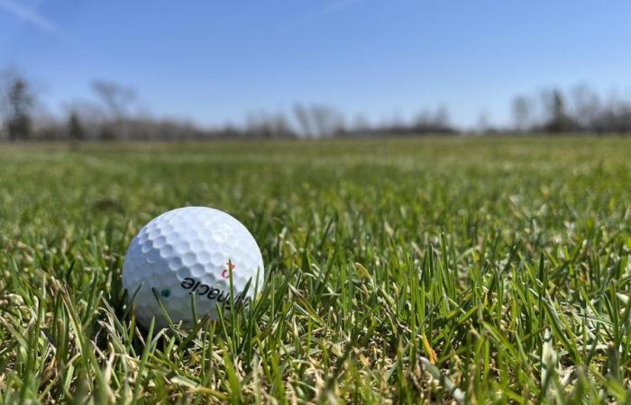 Sollte Gatineau wie Montreal Pestizide auf seinen Golfplätzen verbieten?