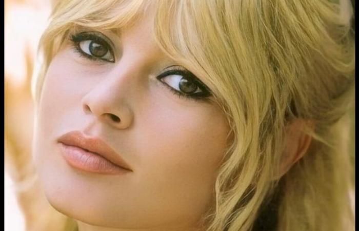 „Es wird unmöglich sein!“ Brigitte Bardot offenbart ihren letzten Wunsch und dieser wird sicherlich nicht respektiert