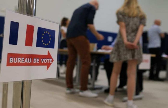Parlamentswahlen in Frankreich: Einige Schlüssel zum besseren Verständnis der Ergebnisse der ersten Runde