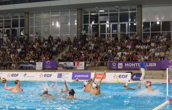 Olympische Spiele 2024 in Paris: Im Vorbereitungsspiel gegen Montenegro begeistert das französische Wasserballteam das Montpellier-Publikum