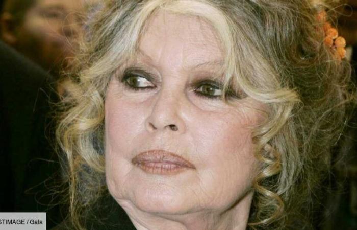 Brigitte Bardot, ihre seltenen Vertraulichkeiten über ihren Sohn Nicolas: „Ich habe ihm versprochen…“