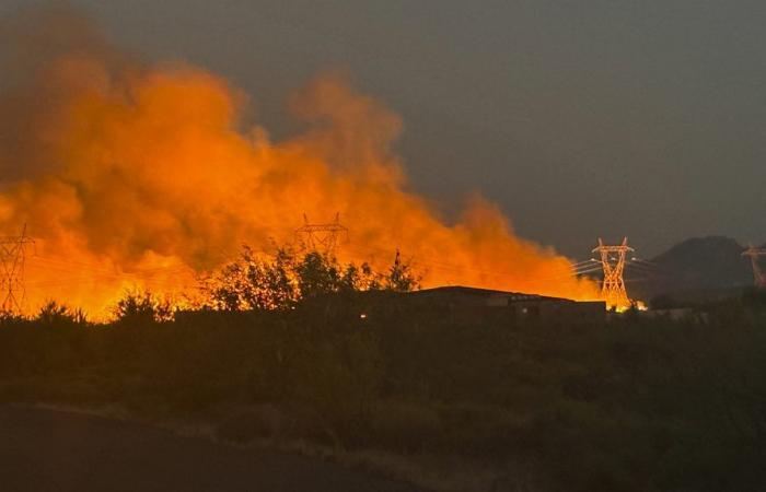 In Arizona breitet sich ein Waldbrand aus, der zu Evakuierungen führt