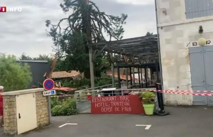 VIDEO – Gewitter: Ein Blitz lässt einen jahrhundertealten Mammutbaum in Deux-Sèvres explodieren