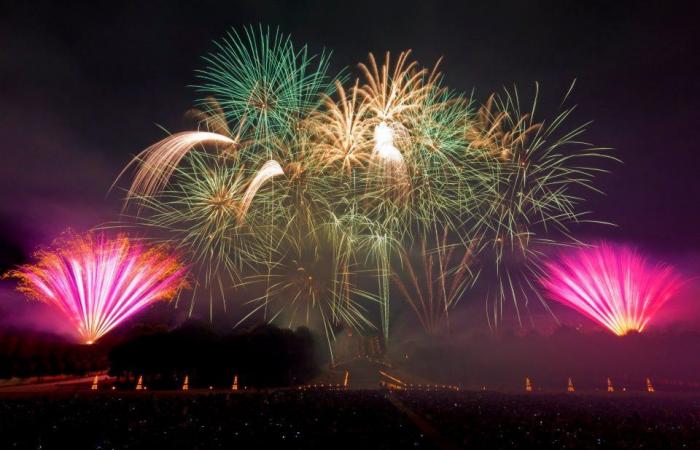 Nationalfeiertag 14. Juli 2024 in Persan (95): Republikanisches Picknick und Feuerwerk
