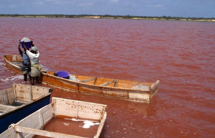 Niagues – Neuklassifizierung als städtische Naturzone: Lac Rose will seinen Glanz zurückgewinnen – Lequotidien