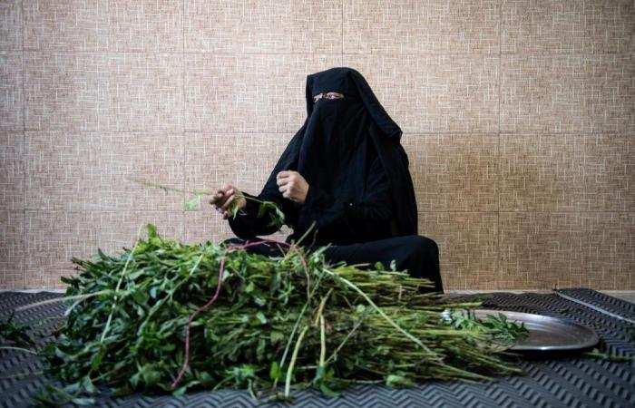 In Raqqa die heikle Wiedereingliederung ehemaliger „Daesh-Frauen“