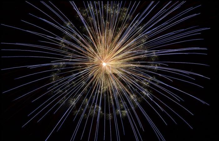 Nationalfeiertag in Montigny-le-Bretonneux (78): Feuerwerk und Volksball am 13. Juli 2024