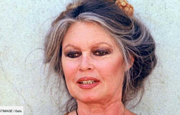 Brigitte Bardot zahlt Geld für den Tod: Dieser Ort, an dem sie „für die Ewigkeit ruhen“ will