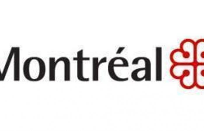 Umzugsphase – Die Stadt heißt neue Montrealer willkommen