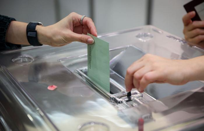 Parlamentswahlen | Französische Expatriates werden zur Wahl aufgerufen