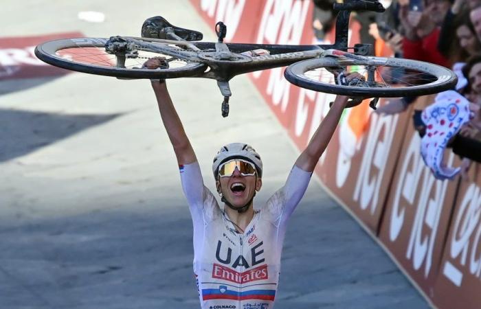 Welchen Einfluss hat das Radfahren wirklich auf die Leistung bei der Tour de France?