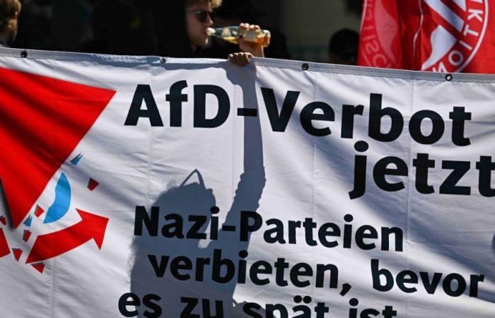 Demonstranten protestieren gegen AfD-Parteitag