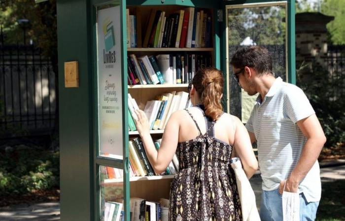 Bücherboxen, Chronik einer konkreten Utopie