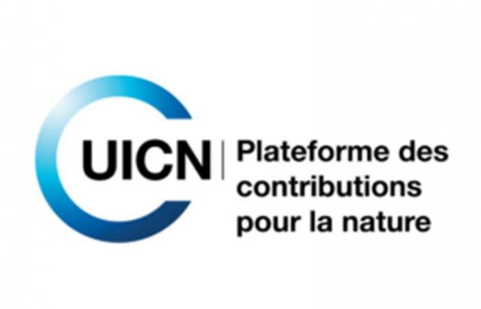 Die internationale Organisation IUCN rekrutiert für diese Position (29. Juni 2024)