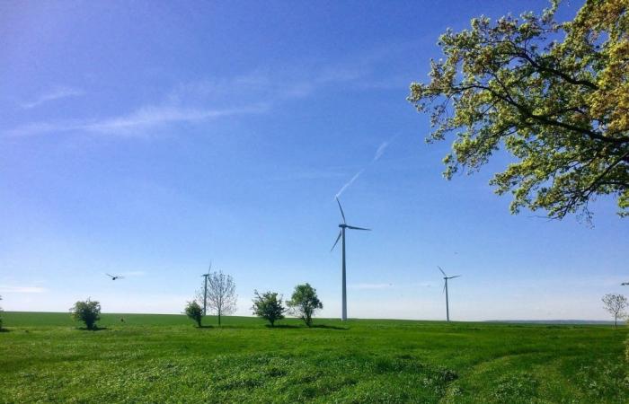 eine Steuer auf die Windnutzung für Betreibergesellschaften