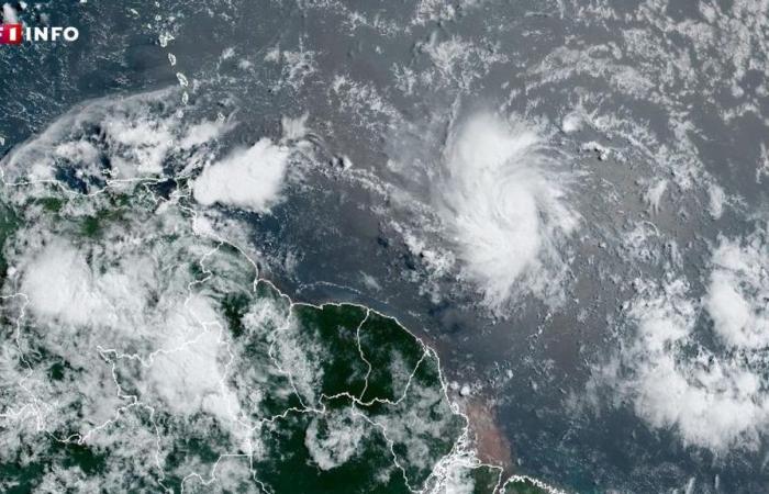 Martinique: Sturm Béryl droht sich zu einem Hurrikan zu entwickeln, bevor er die Antillen erreicht