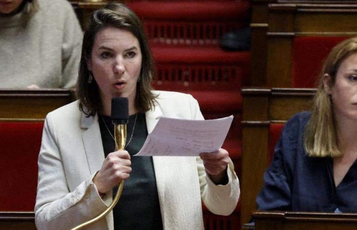 Parlamentswahlen 2024 in Loire-Atlantique: Julie Laernoes steht im ersten Wahlgang in Nantes-Rezé kurz vor ihrer Wiederwahl
