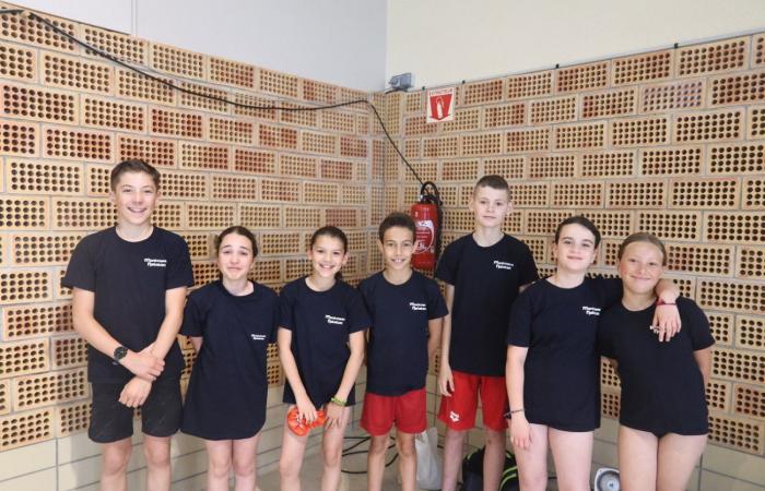 SCHWIMMEN: Mehr als 100 junge Schwimmer beim Montchanin Natation-Treffen