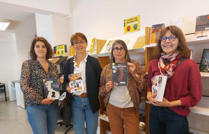Süd-Manche: Zehn Romane im Rennen um den Leserpreis in Mediatheken