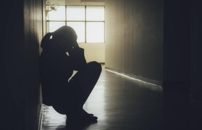 Meaux: ein 15-jähriger Gymnasiast, der von einem Tunesier im Rahmen von OQTF vergewaltigt wurde
